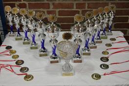 8. Landesfinale in Brandenburg an der Havel