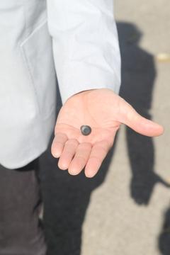 Klein, aber wichtig: Der neue Ident-Chip für die Mülltonnen