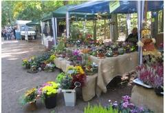 Blumenstand der Fa. Gartenbau Norbert Bartlog aus Görzke