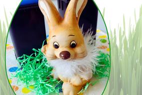 Osterhase im Ei