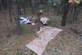 Illegale Entsorgung pflanzlicher Abfälle im Wald 