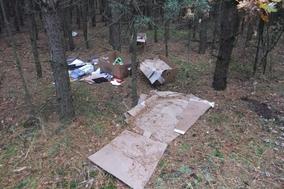 Illegale Entsorgung pflanzlicher Abfälle im Wald 