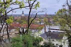 Welche Dachlandschaften eignen sich für PV-Anlagen?