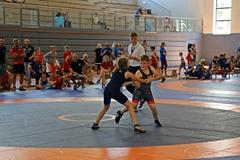 In der Sporthalle am Marienberg fanden die Wettkämpfe im Ringen statt