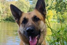 Ranger steht vor einem Teich