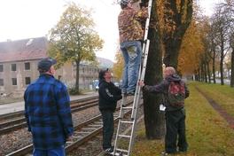 Nistkästen zur biologischen Bekämpfung der Roßkastanienminiermotte