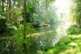 Biologische Vielfalt