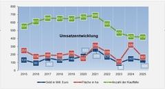 Darstellung Umsatzentwicklung 2025