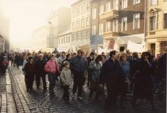 Die Demonstration in der Steinstraße auf dem Weg zum Neustädtischen Markt (Foto: privat)