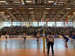 Toller Volleyballsport ist dieser Tage in der Marienberg-Halle zu erleben.