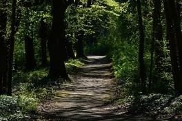 Viele Wege führen nach Brandenburg an der Havel und auch wieder weg aus der Stadt.