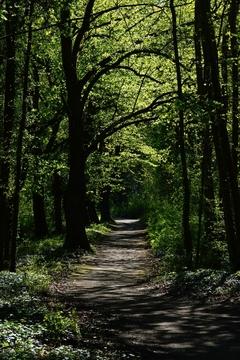 Viele Wege führen nach Brandenburg an der Havel und auch wieder weg aus der Stadt.