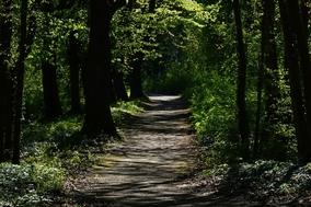 Viele Wege führen nach Brandenburg an der Havel und auch wieder weg aus der Stadt.