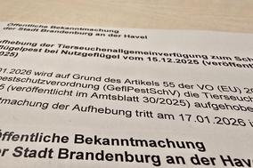 Auszug aus dem Amtsblatt