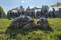 Tränklers rollender Zoo sorgte fürs tierische Vergnügen.