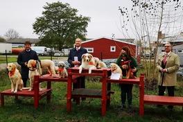 MBS spendet mehr als 55.000 € an Vereine