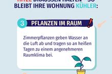 Pflanzen im Raum vorsehen.