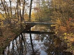 Blick auf Brücke und Bach