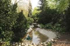 Gesamtsicht auf die Anlage mit Teich, Bepflanzung und Frosch