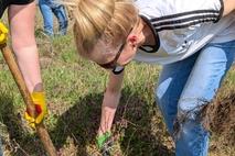 In Zweierteams ging das Pflanzen flott voran