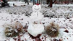 Schneemann auf schneebedeckter Wiese