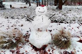 Schneemann auf schneebedeckter Wiese
