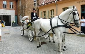 Heiraten in Brandenburg an der Havel