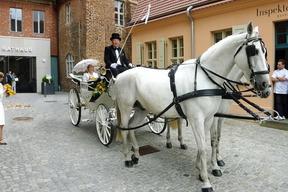 Heiraten in Brandenburg an der Havel