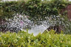 Wasserstrahl spritzt über eine Hecke. Bild: AxxLC/Pixabay