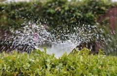 Wasserstrahl spritzt über eine Hecke. Bild: AxxLC/Pixabay
