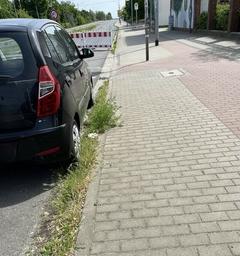 verschmutzte Fahrbahn