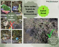 Biotonnenvergleich in der Neustadt.