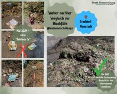 Biotonnenvergleich in der Altstadt.