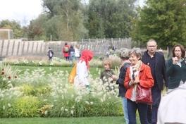 Erinnerungen an die Bundesgartenschau 2015 in Brandenburg an der Havel und der Havelregion.