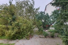 Sturmschäden