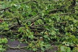 Für die Neutrassierung der B1 in Wust muss Grün umgelegt werden.