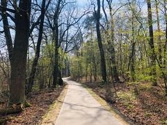 OB Steffen Scheller: Beliebte Aussichtsplattform in Kirchmöser wieder geöffnet / Investition in Radweg