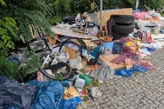 Ablagerungen mit Reifen in Waldnähe.