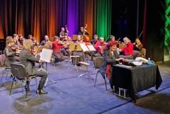 Das Kammerorchester Vicconcerto unter Leitung von Iris-Simone Au