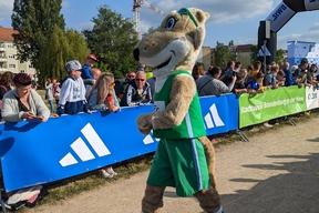 Das Maskottchen von der StWB Teamstaffel.