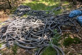 Illegale Müllablagerung im Waldgebiet Görisgräben