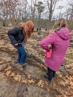 Pflanzaktion im Brandenburger Stadtwald.