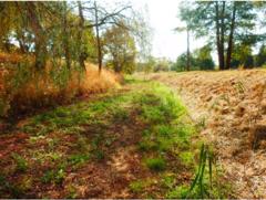 Plane bei Göttin 2018