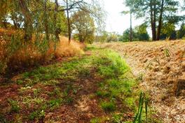 Wassermangel verschärft sich weiter! Aufruf zum sparsamen Umgang mit Wasser