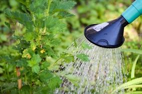 Aufruf zum sparsamen Umgang mit Wasser
