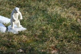 Mehr Klimaschutz und Anpassung an die Folgen der Klimakrise