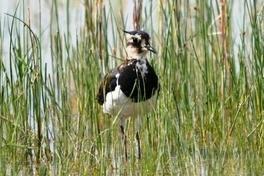 Klima- und Naturschutz