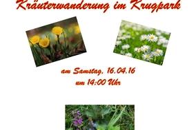 Wildkräuterwanderung durch den Krugpark
