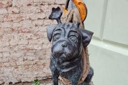 Einige Waldmöpse zur Reparatur