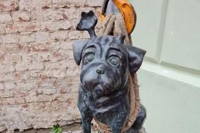 Einige Waldmöpse zur Reparatur